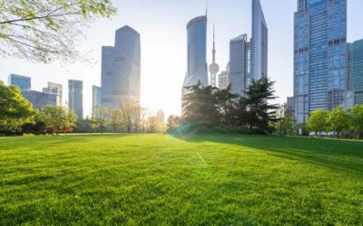 VERTUO, comment bien penser la nature en ville ?