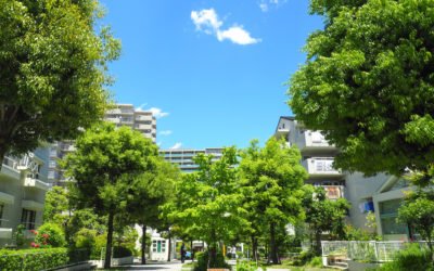 Ecocité du Pré Vert à Saint-Nolff : la mixité comme maître mot