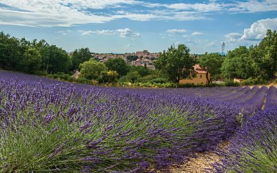 Provence Alpes Cote D Azur