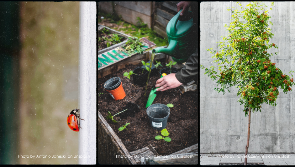 biodiversité